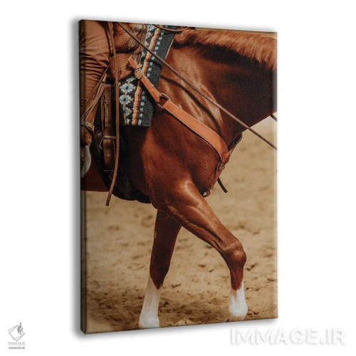 تابلو چالش جاذبه اثر آنا آرشینگر - نمای پرسپکتیو محصول