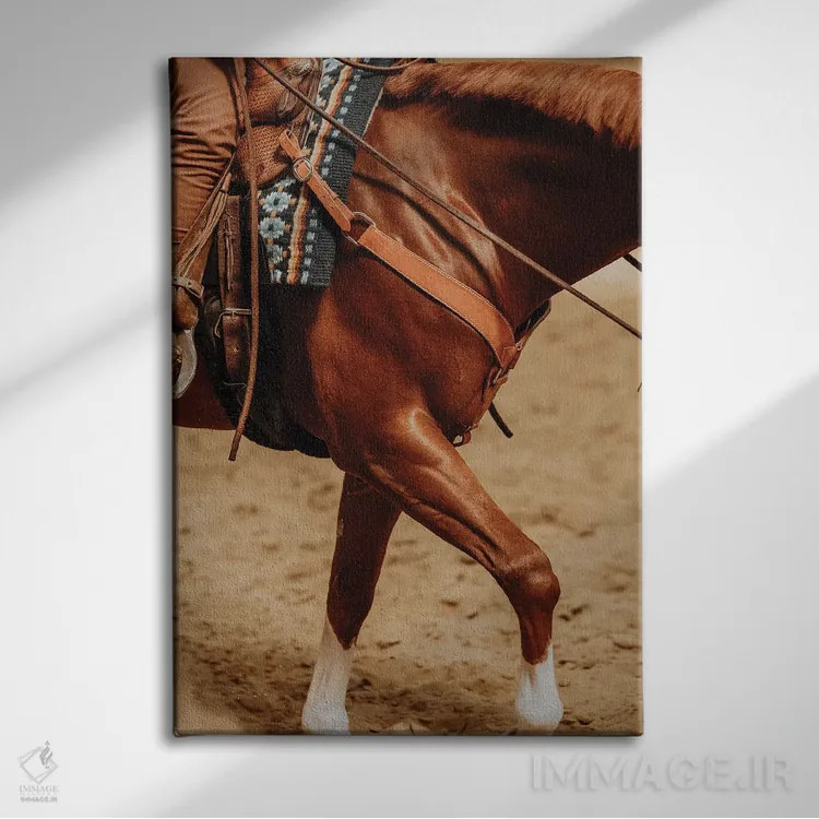 تابلو چالش جاذبه اثر آنا آرشینگر - نمای روبهرو روی دیوار