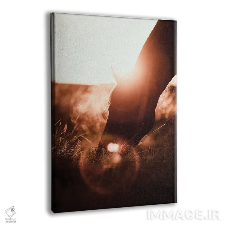 تابلو سفر خیالگونه در روستا اثر آنا آرشینگر - نمای پرسپکتیو محصول