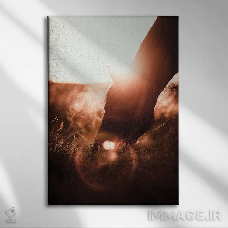 تابلو سفر خیالگونه در روستا اثر آنا آرشینگر - نمای روبهرو روی دیوار