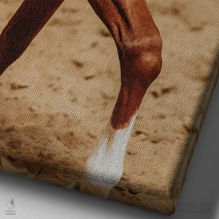 تابلو چالش جاذبه اثر آنا آرشینگر - نمای نزدیک بافت بوم