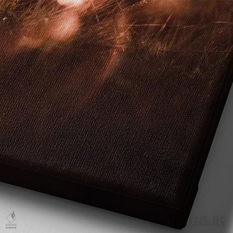 تابلو سفر خیالگونه در روستا اثر آنا آرشینگر - نمای نزدیک بافت بوم