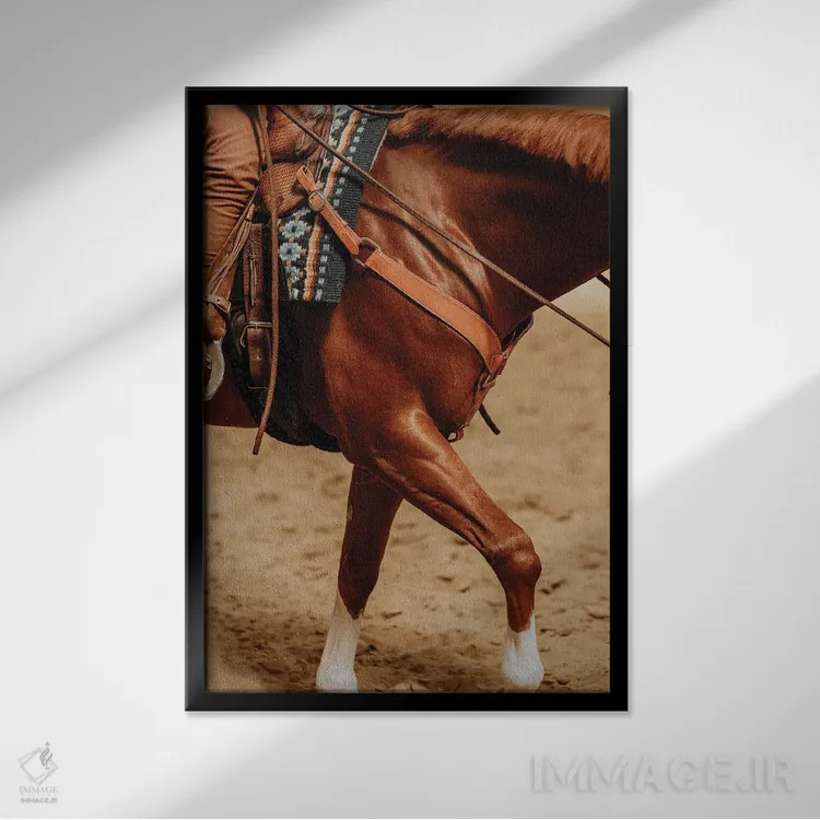 تابلو چالش جاذبه اثر آنا آرشینگر - نمای قابدار مشکی