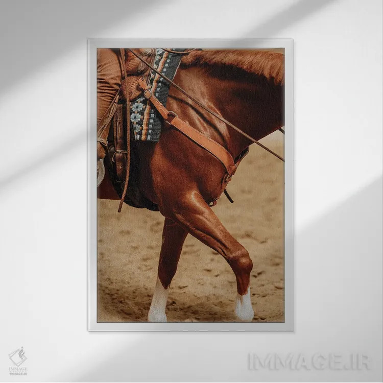 تابلو چالش جاذبه اثر آنا آرشینگر - نمای قابدار سفید