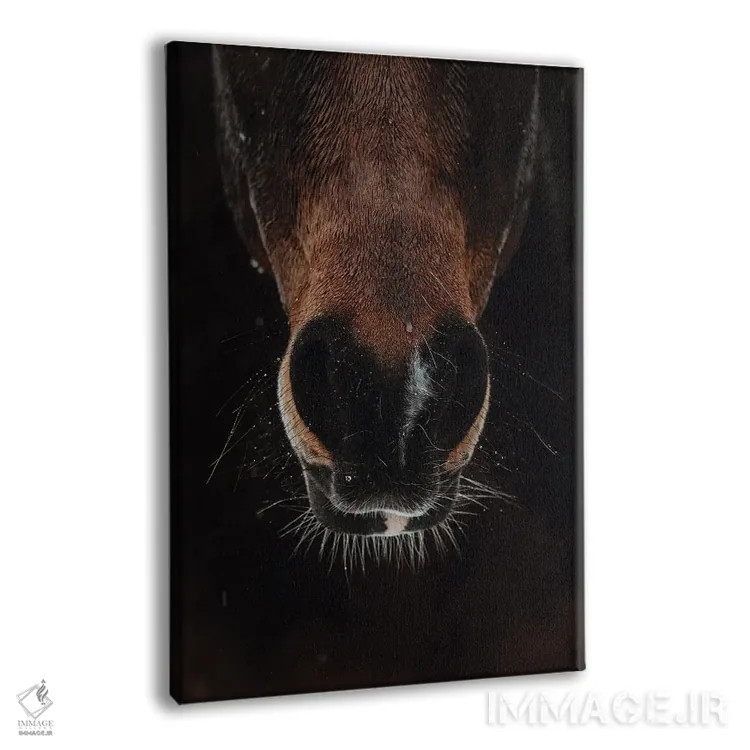 تابلو تحمل طوفان اثر آنا آرشینگر - نمای پرسپکتیو محصول