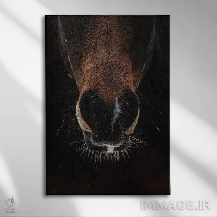 تابلو تحمل طوفان اثر آنا آرشینگر - نمای روبهرو روی دیوار