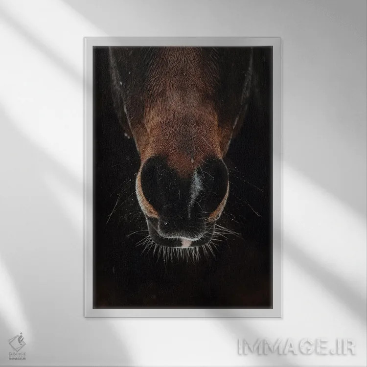 تابلو تحمل طوفان اثر آنا آرشینگر - نمای قابدار سفید