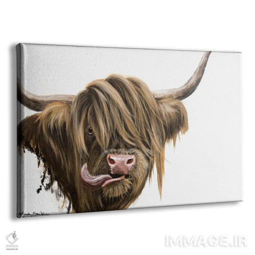تابلو گاو کوهستانی مافین (نوع گاو) اثر آنجلا بادن - نمای پرسپکتیو محصول