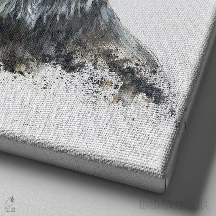 تابلو گاو خجالتی (نژاد اسکاتلندی) اثر آنجلا بادن - نمای نزدیک بافت بوم