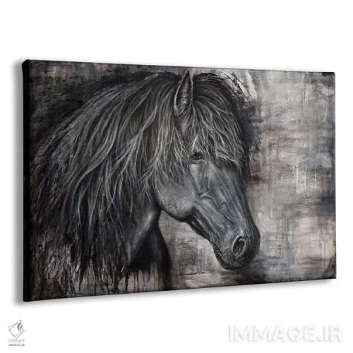 تابلو اسب تیره باشکوه اثر آنجلا بادن - نمای پرسپکتیو محصول