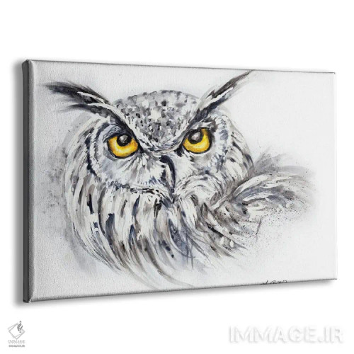 تابلو جغد عقابی با آبرنگ اثر آنجلا بادن - نمای پرسپکتیو محصول