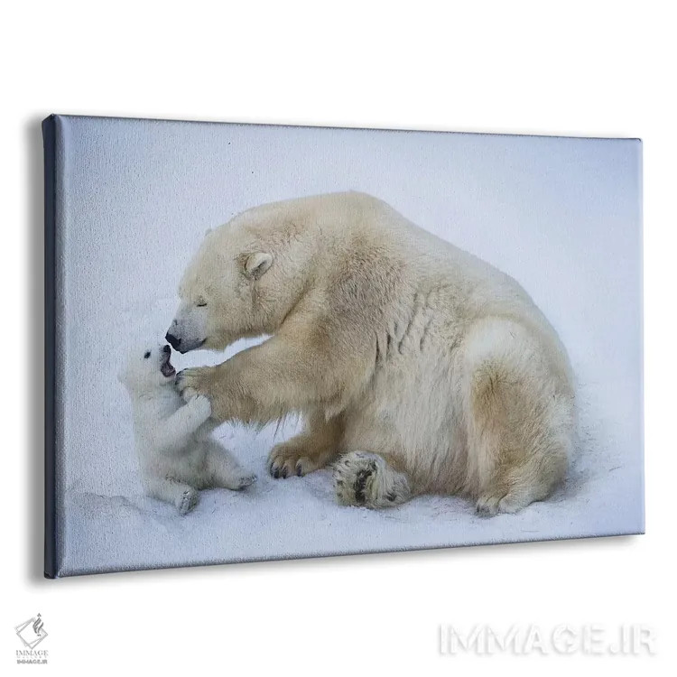 تابلو خرس قطبی با مادر ۱ اثر آنتون بلوودچنکو - نمای پرسپکتیو محصول