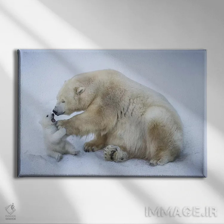 تابلو خرس قطبی با مادر ۱ اثر آنتون بلوودچنکو - نمای روبهرو روی دیوار