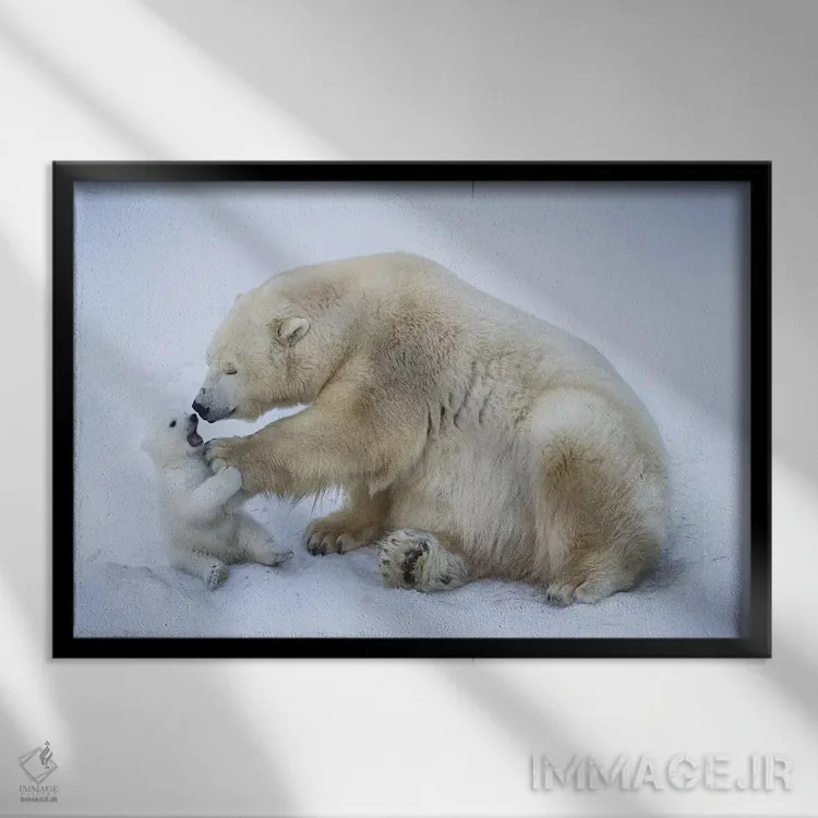 تابلو خرس قطبی با مادر ۱ اثر آنتون بلوودچنکو - نمای قابدار مشکی