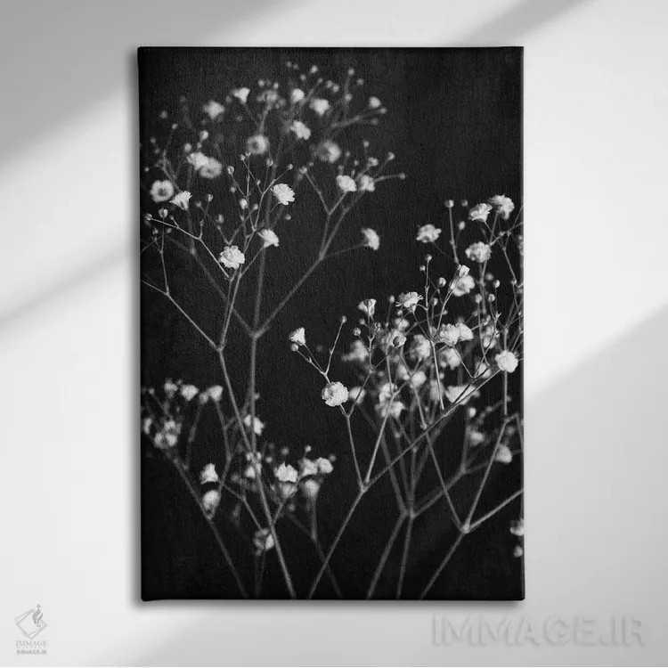 تابلو ظریف I اثر آن بیلی - نمای روبهرو روی دیوار