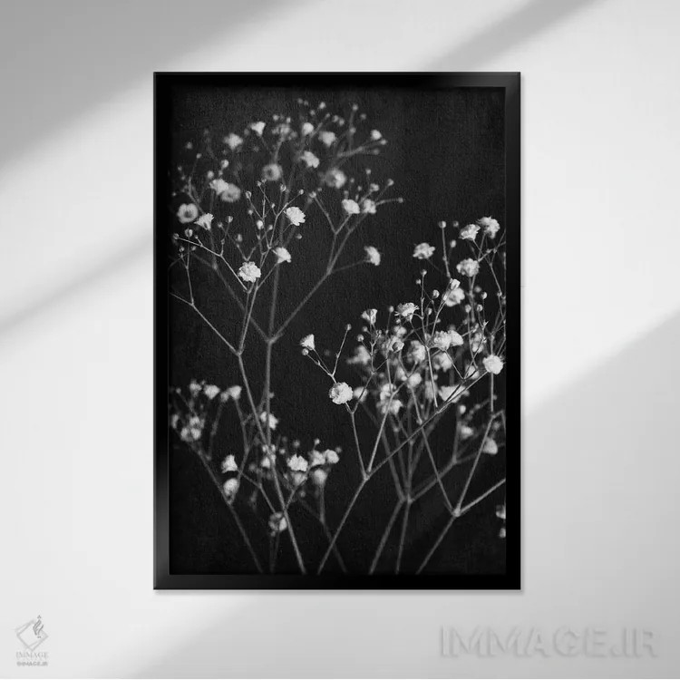 تابلو ظریف I اثر آن بیلی - نمای قابدار مشکی