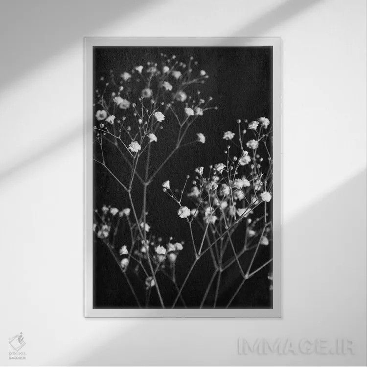 تابلو ظریف I اثر آن بیلی - نمای قابدار سفید