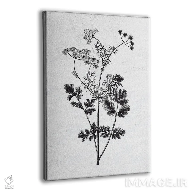 تابلو گیاهان فشرده شده II اثر آن بیلی - نمای پرسپکتیو محصول