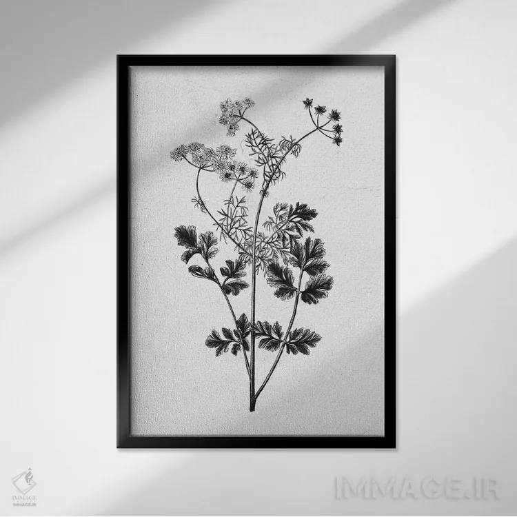 تابلو گیاهان فشرده شده II اثر آن بیلی - نمای قابدار مشکی