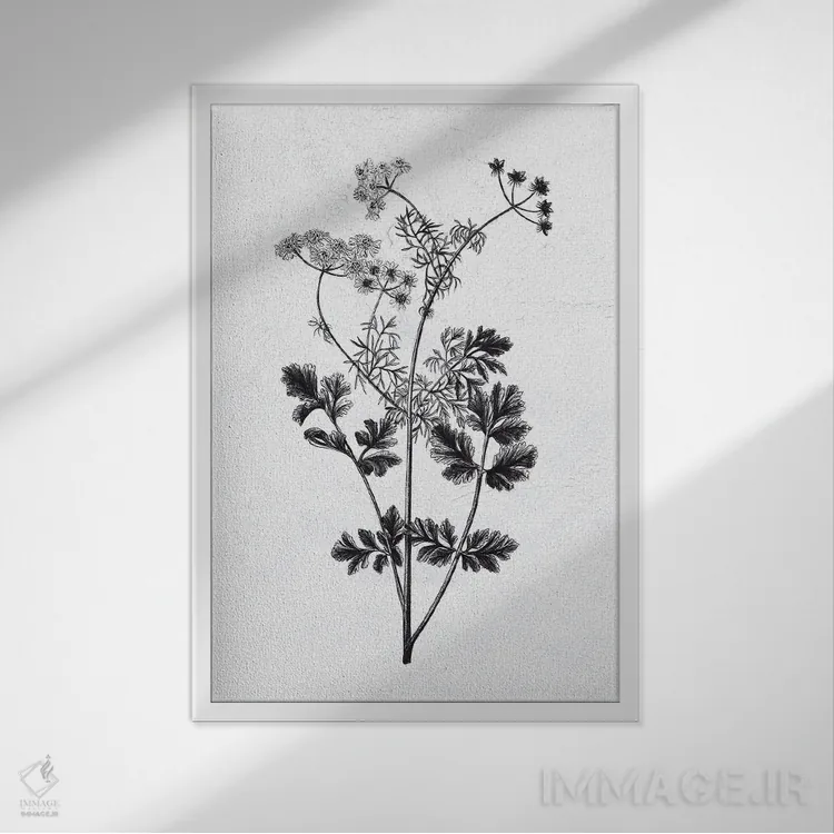 تابلو گیاهان فشرده شده II اثر آن بیلی - نمای قابدار سفید