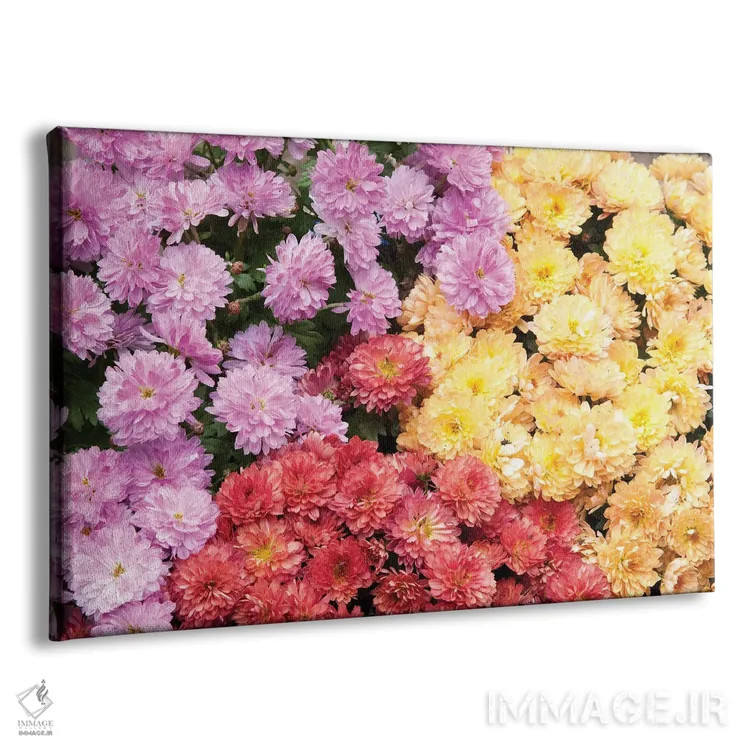 تابلو دریای داوودیها I اثر هنر آنیتا و بلا - نمای پرسپکتیو محصول