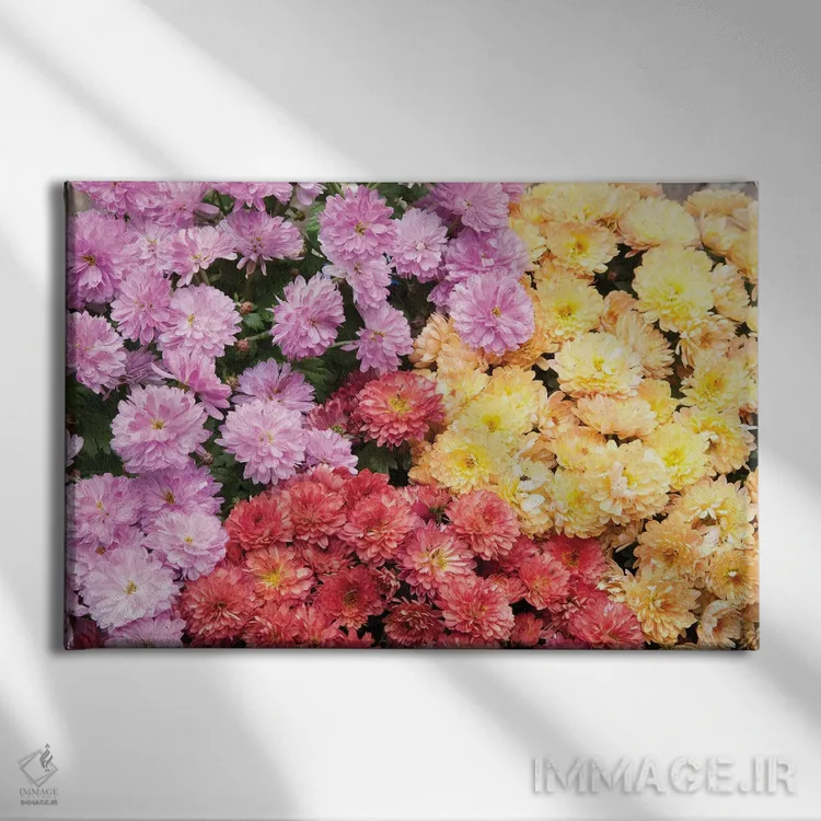 تابلو دریای داوودیها I اثر هنر آنیتا و بلا - نمای روبهرو روی دیوار