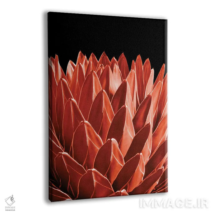 تابلو آگاو شیک IV اثر هنر آنیتا و بلا - نمای پرسپکتیو محصول