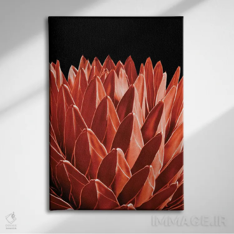 تابلو آگاو شیک IV اثر هنر آنیتا و بلا - نمای روبهرو روی دیوار