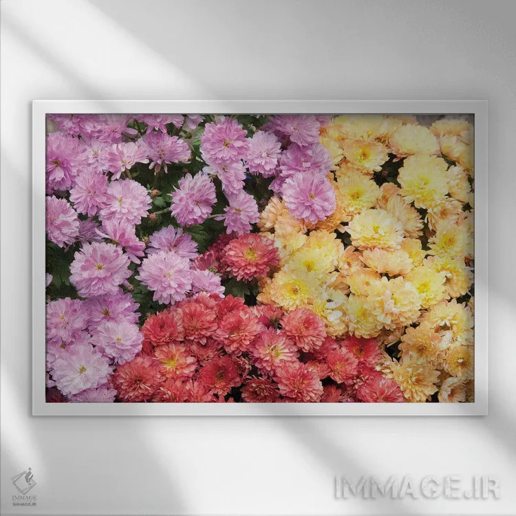 تابلو دریای داوودیها I اثر هنر آنیتا و بلا - نمای قابدار سفید