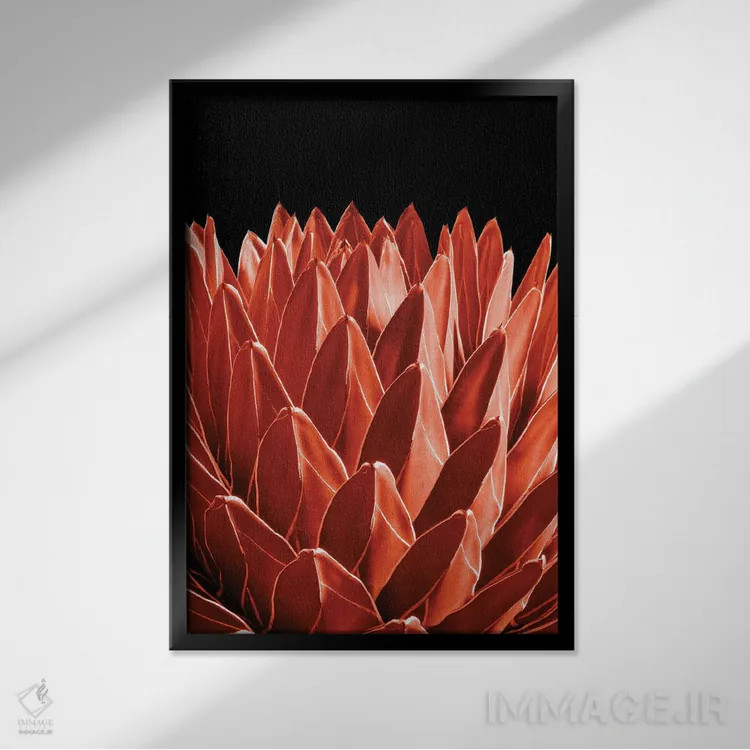 تابلو آگاو شیک IV اثر هنر آنیتا و بلا - نمای قابدار مشکی