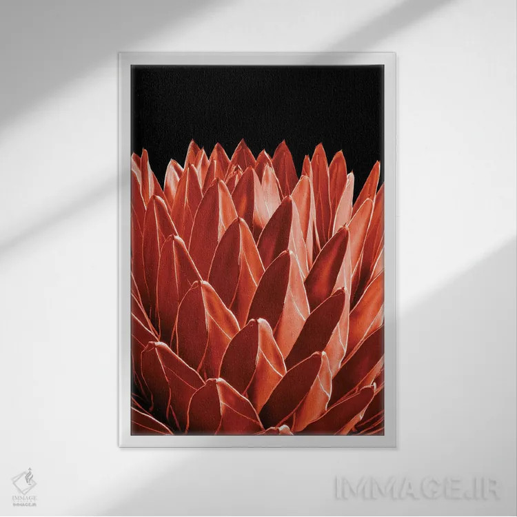 تابلو آگاو شیک IV اثر هنر آنیتا و بلا - نمای قابدار سفید