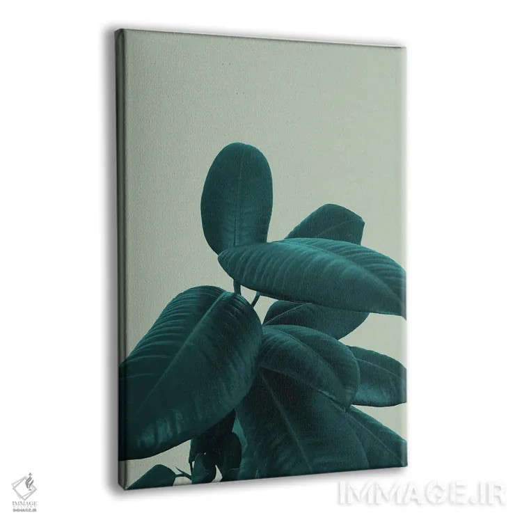 تابلو فیکوس الاستیکا VIII اثر هنر آنیتا و بلا - نمای پرسپکتیو محصول