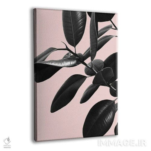 تابلو فیکوس الاستیکا با حس صورتی، سیاه و سفید I اثر هنر آنیتا و بلا - نمای پرسپکتیو محصول