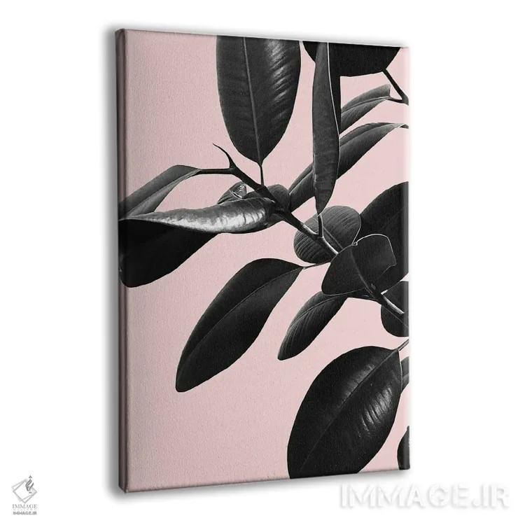 تابلو فیکوس الاستیکا با حس صورتی، سیاه و سفید I اثر هنر آنیتا و بلا - نمای پرسپکتیو محصول