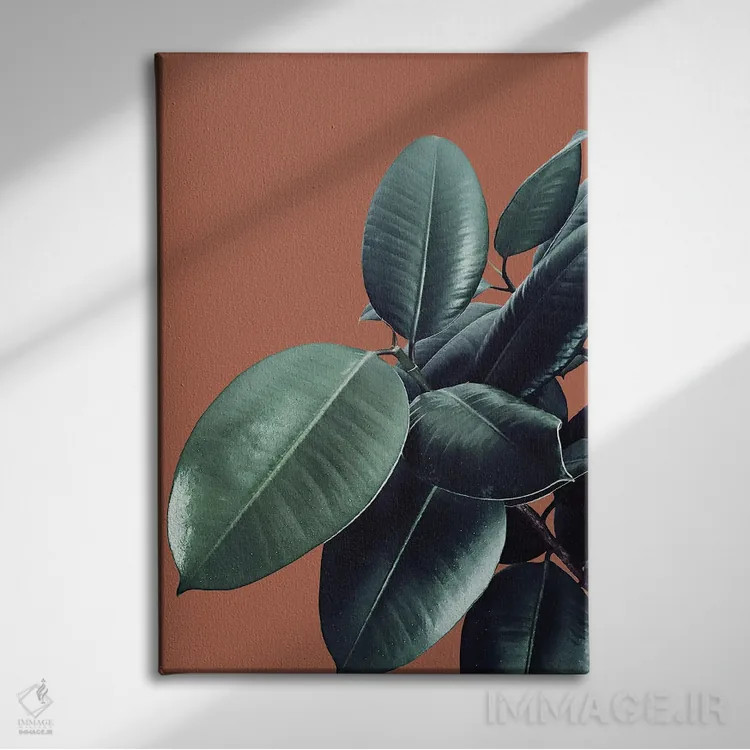 تابلو فیکوس الاستیکا XVII اثر هنر آنیتا و بلا - نمای روبهرو روی دیوار
