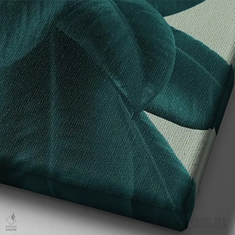 تابلو فیکوس الاستیکا VIII اثر هنر آنیتا و بلا - نمای نزدیک بافت بوم