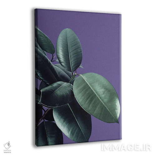 تابلو فیکوس الاستیکا با رنگ فرابنفش II اثر هنر آنیتا و بلا - نمای پرسپکتیو محصول
