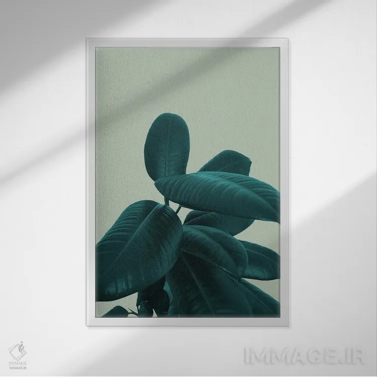 تابلو فیکوس الاستیکا VIII اثر هنر آنیتا و بلا - نمای قابدار سفید