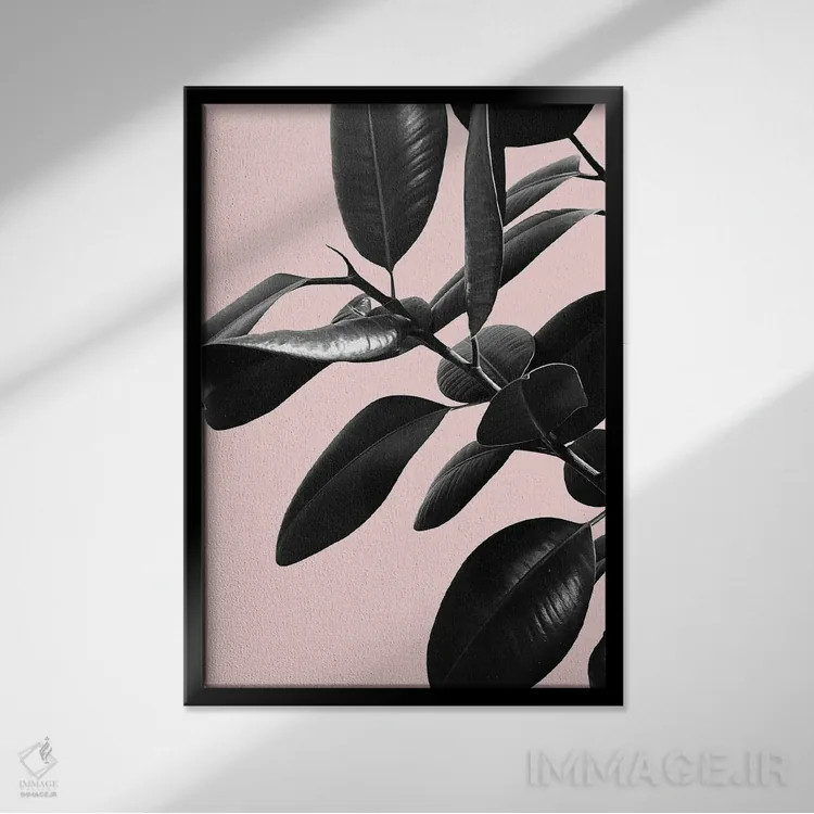 تابلو فیکوس الاستیکا با حس صورتی، سیاه و سفید I اثر هنر آنیتا و بلا - نمای قابدار مشکی