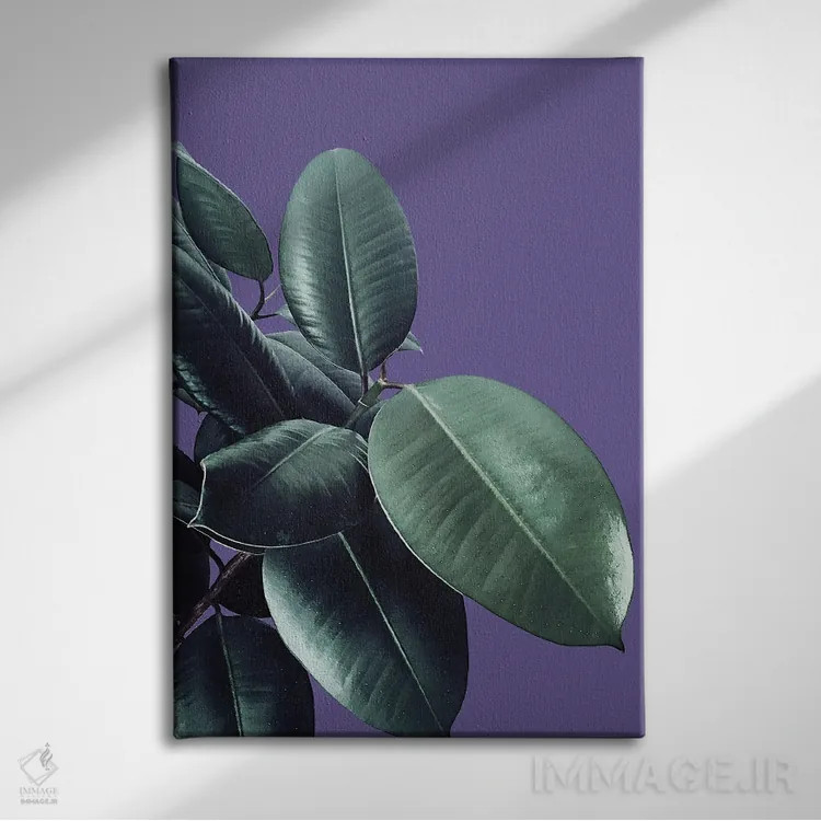 تابلو فیکوس الاستیکا با رنگ فرابنفش II اثر هنر آنیتا و بلا - نمای روبهرو روی دیوار