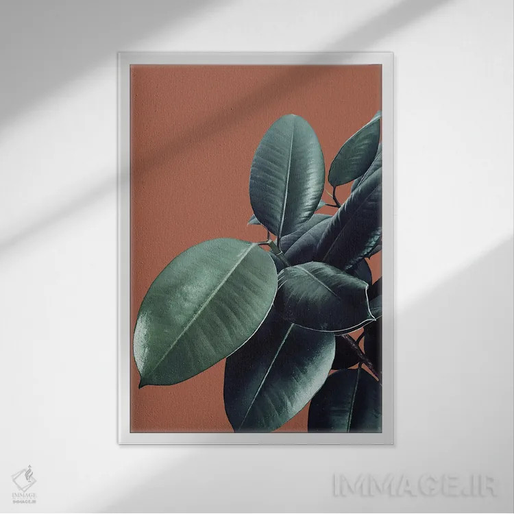 تابلو فیکوس الاستیکا XVII اثر هنر آنیتا و بلا - نمای قابدار سفید