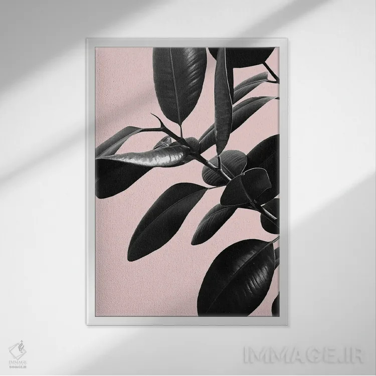 تابلو فیکوس الاستیکا با حس صورتی، سیاه و سفید I اثر هنر آنیتا و بلا - نمای قابدار سفید