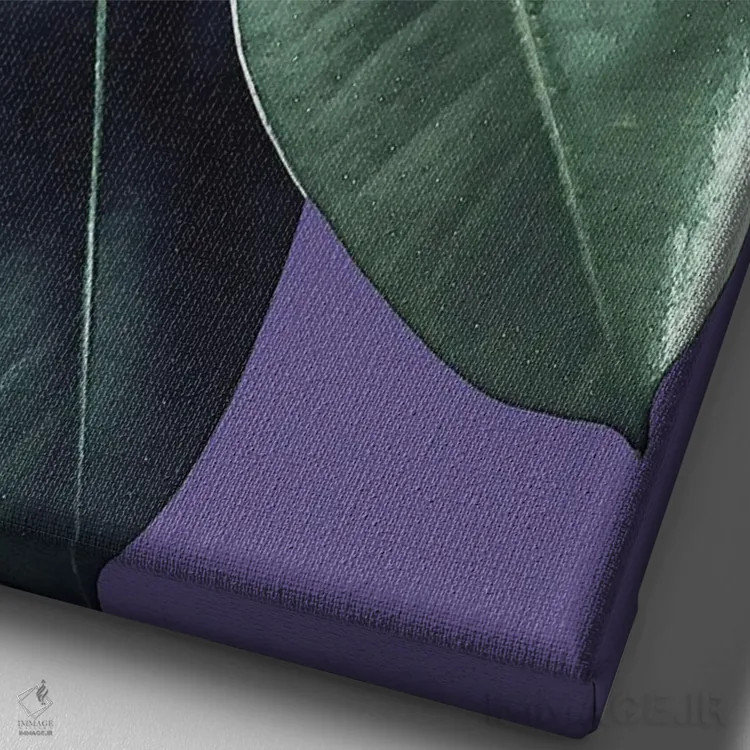 تابلو فیکوس الاستیکا با رنگ فرابنفش II اثر هنر آنیتا و بلا - نمای نزدیک بافت بوم