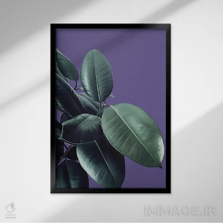 تابلو فیکوس الاستیکا با رنگ فرابنفش II اثر هنر آنیتا و بلا - نمای قابدار مشکی