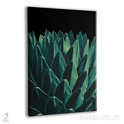 تابلو آگاو شیک XI اثر هنر آنیتا و بلا - نمای پرسپکتیو محصول