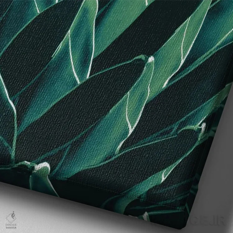 تابلو آگاو شیک XI اثر هنر آنیتا و بلا - نمای نزدیک بافت بوم