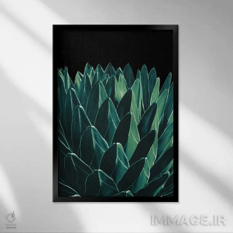 تابلو آگاو شیک XI اثر هنر آنیتا و بلا - نمای قابدار مشکی