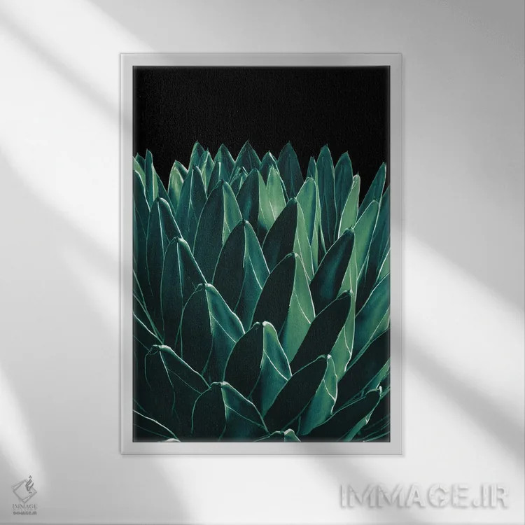 تابلو آگاو شیک XI اثر هنر آنیتا و بلا - نمای قابدار سفید