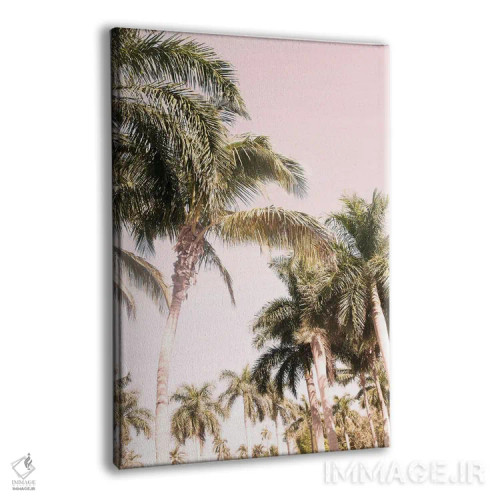 تابلو حس نخل فلوریدا II اثر هنر آنیتا و بلا - نمای پرسپکتیو محصول