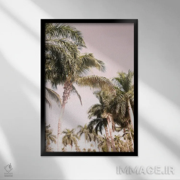 تابلو حس نخل فلوریدا II اثر هنر آنیتا و بلا - نمای قابدار مشکی